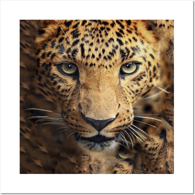 Leopard Cheetah Face Wall Art by fuki